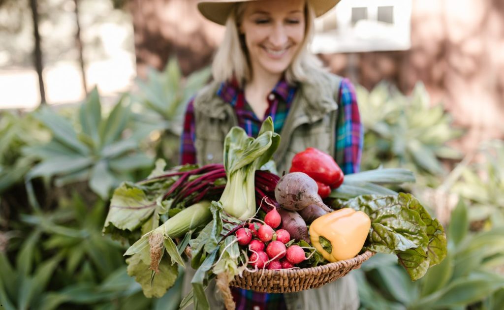 Condimentele care reduc inflamația – dieta ta naturală anti-stres