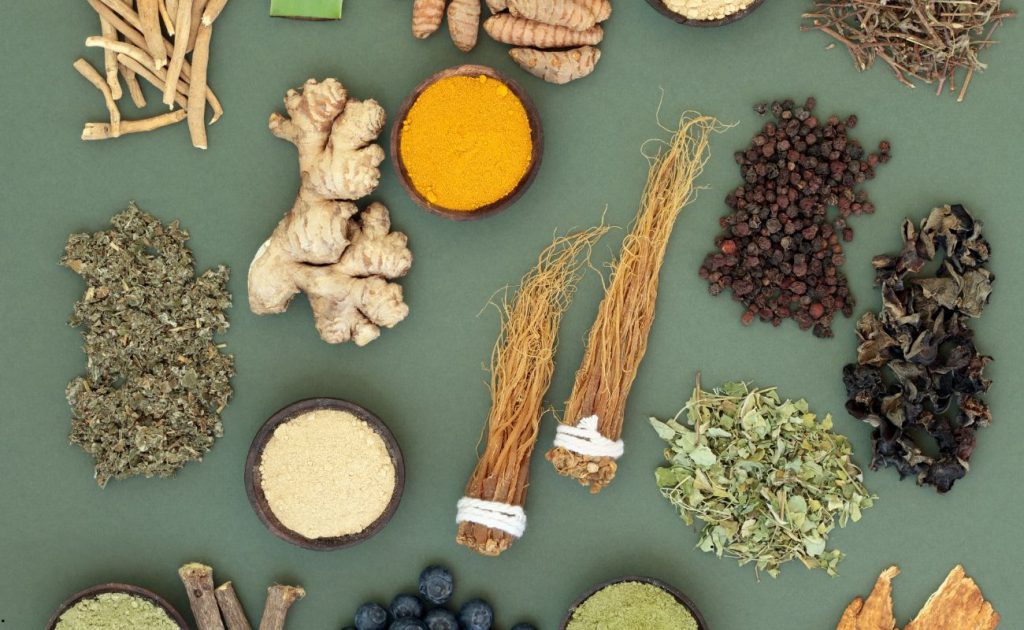 Plante adaptogene care te ajută să faci față stresului – sprijin natural pentru minte și corp